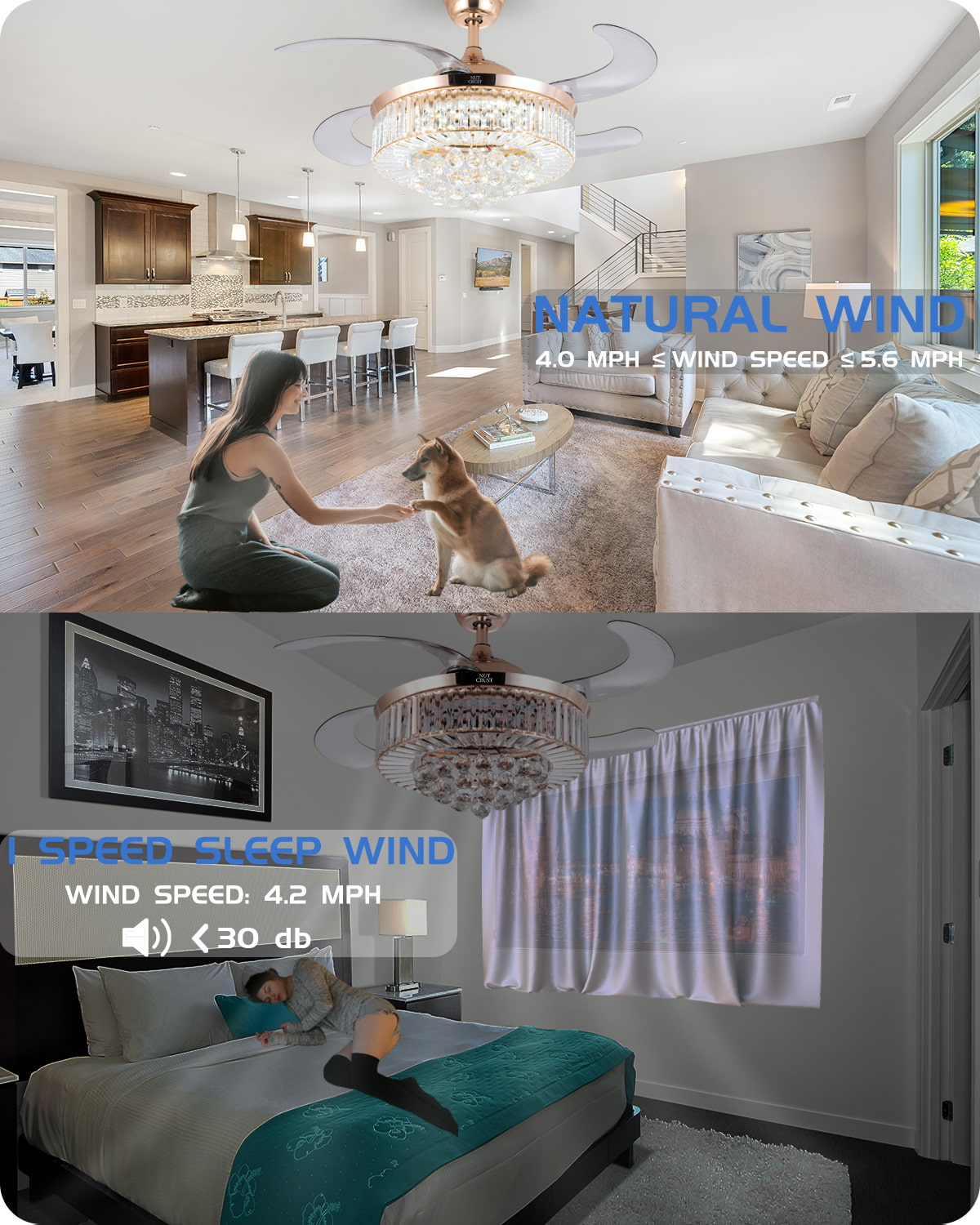 NUTCRUST Crystal Ceiling Fan with Lights and Remote - Image 5